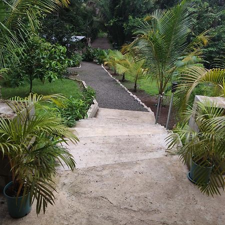 House In The Palm Forest Διαμέρισμα Puerto Carrillo Εξωτερικό φωτογραφία