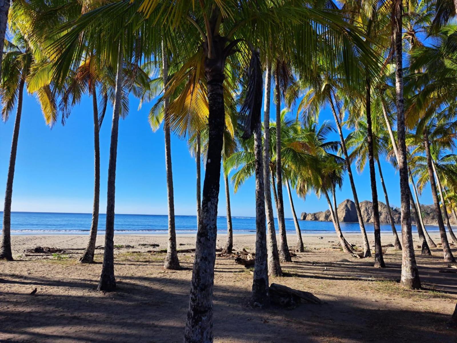 House In The Palm Forest Διαμέρισμα Puerto Carrillo Εξωτερικό φωτογραφία