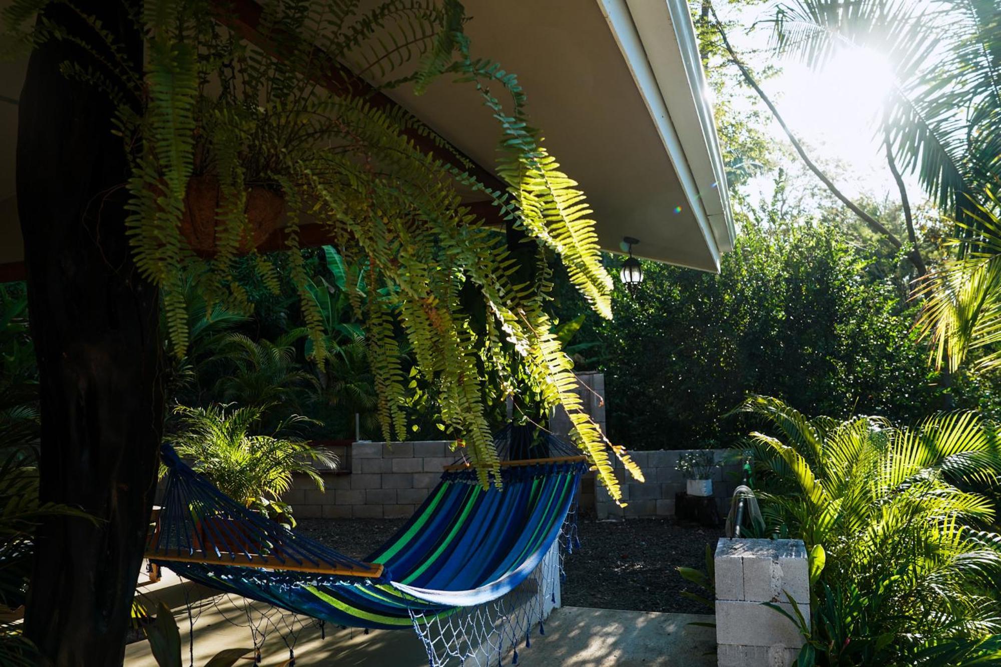 House In The Palm Forest Διαμέρισμα Puerto Carrillo Εξωτερικό φωτογραφία