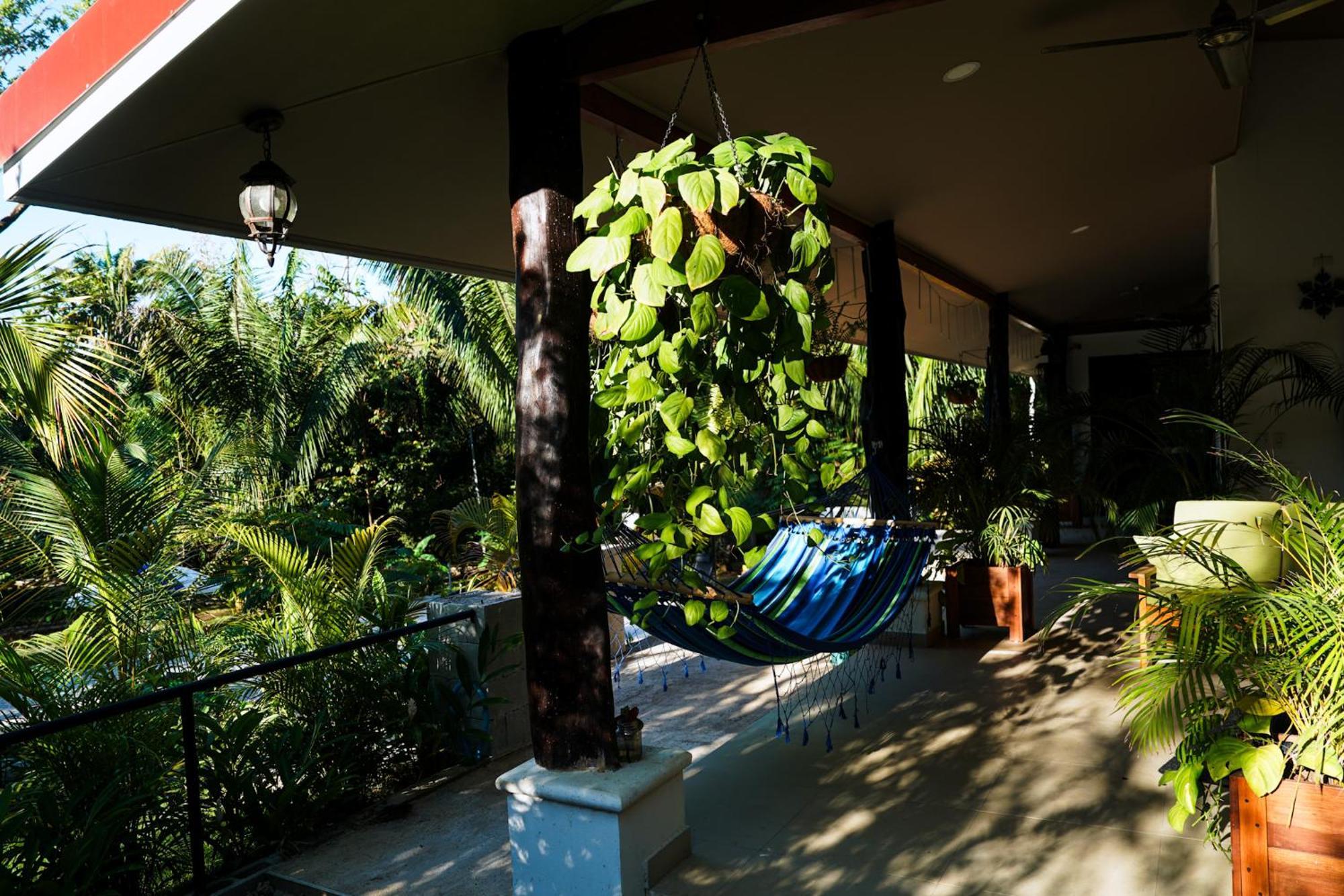 House In The Palm Forest Διαμέρισμα Puerto Carrillo Εξωτερικό φωτογραφία