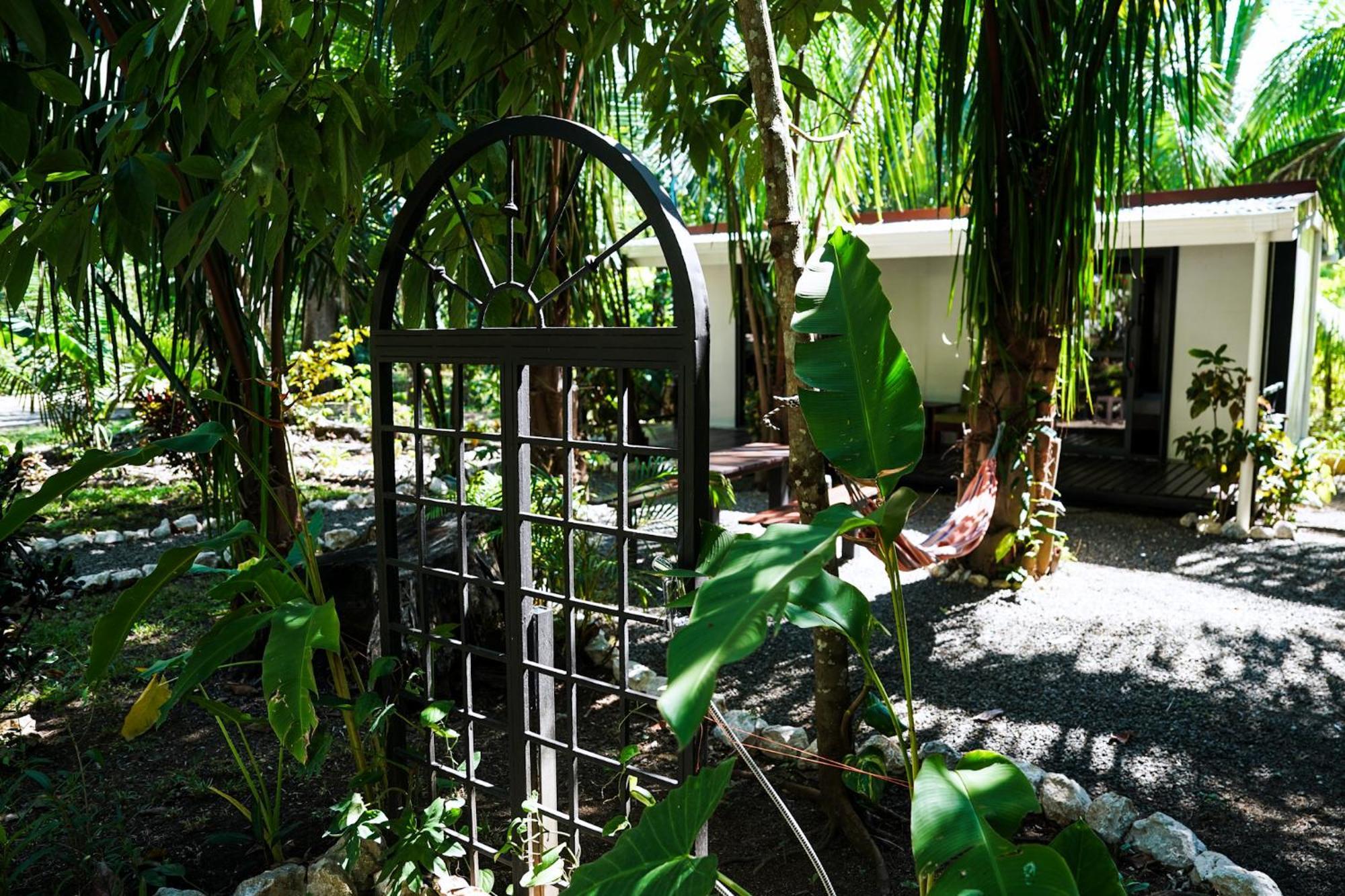 House In The Palm Forest Διαμέρισμα Puerto Carrillo Εξωτερικό φωτογραφία