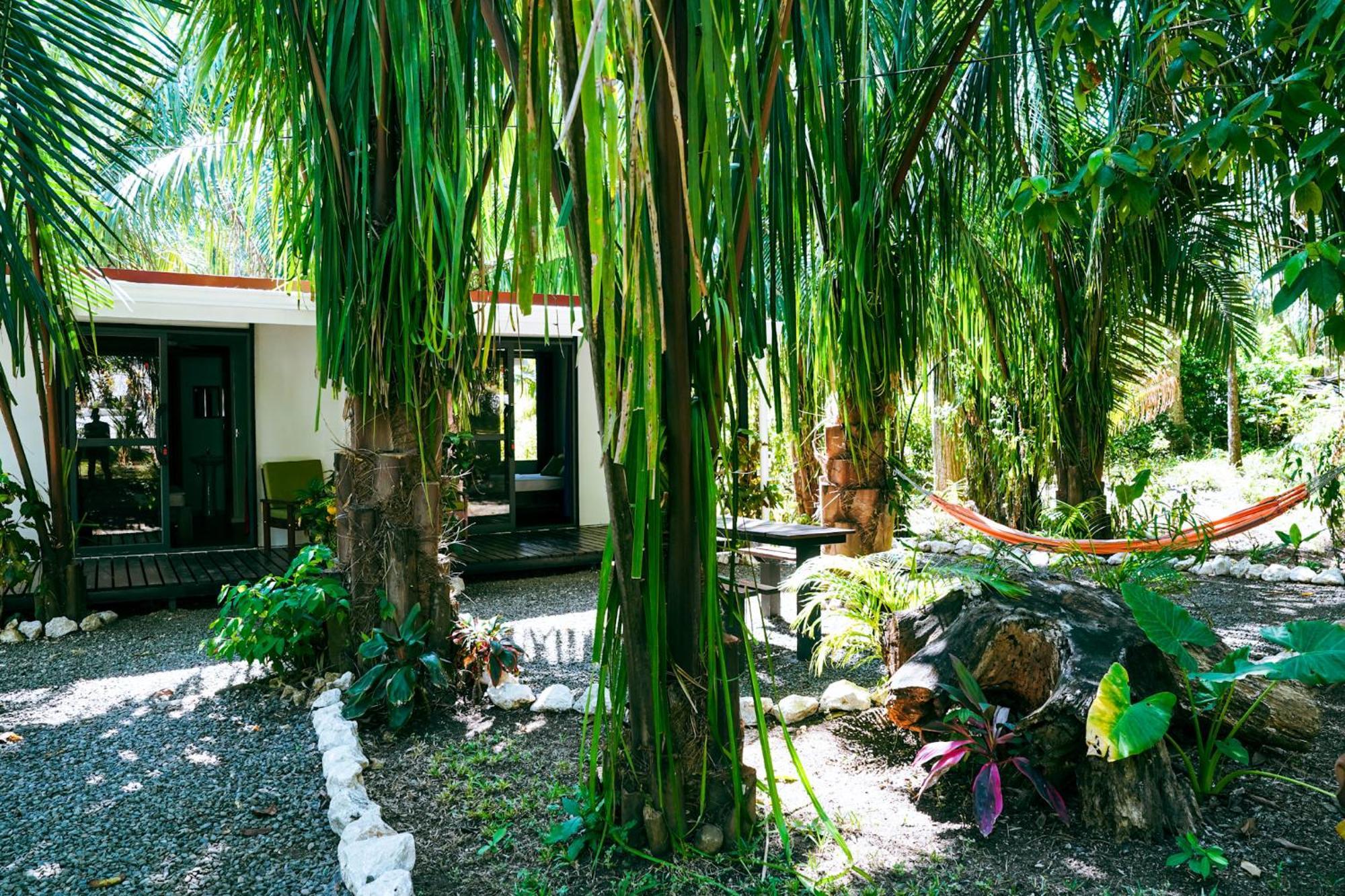 House In The Palm Forest Διαμέρισμα Puerto Carrillo Εξωτερικό φωτογραφία