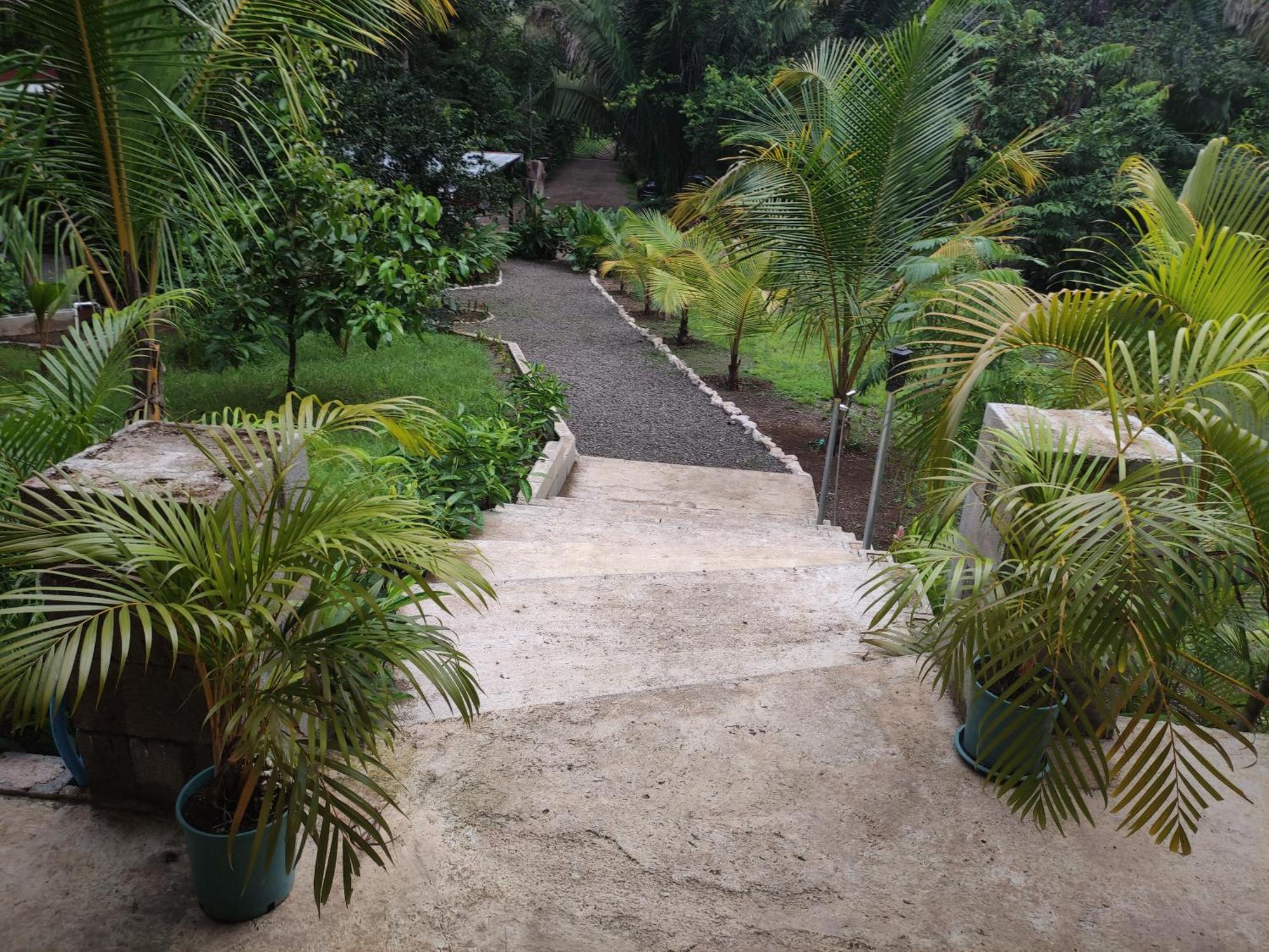 House In The Palm Forest Διαμέρισμα Puerto Carrillo Εξωτερικό φωτογραφία